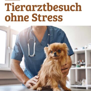 Interview Fachbeitrag: Tierarztbesuch ohne Stress